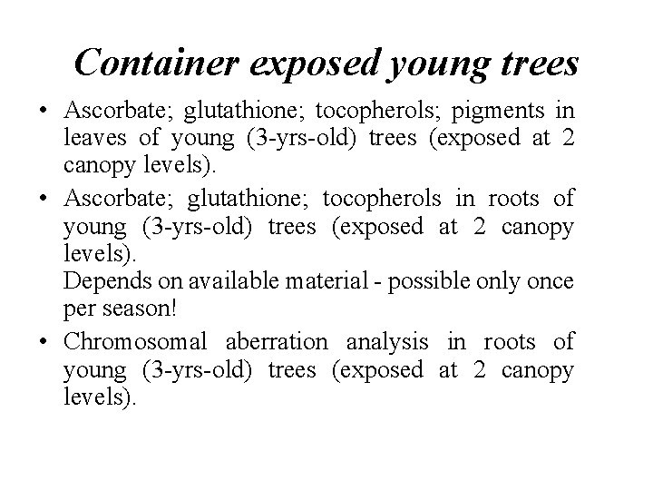 Container exposed young trees • Ascorbate; glutathione; tocopherols; pigments in leaves of young (3