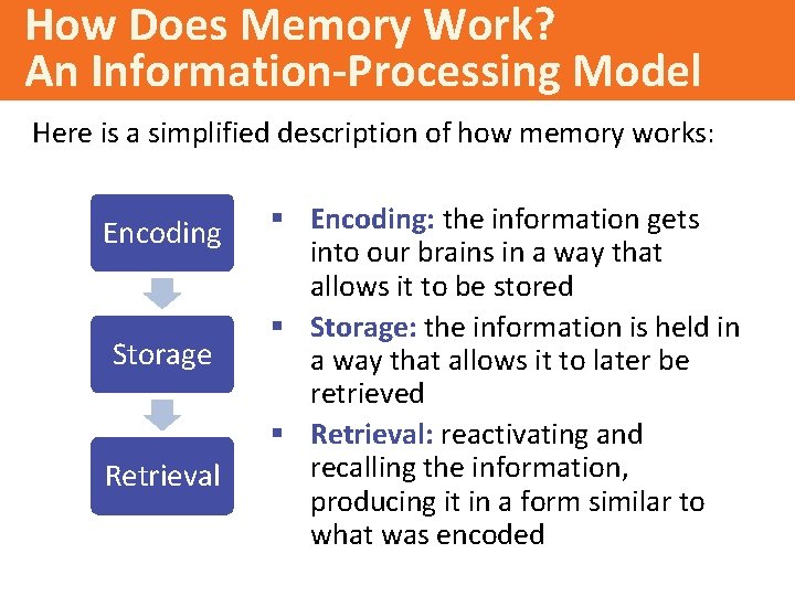 How Does Memory Work? An Information-Processing Model Here is a simplified description of how