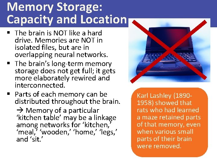 Memory Storage: Capacity and Location § The brain is NOT like a hard drive.