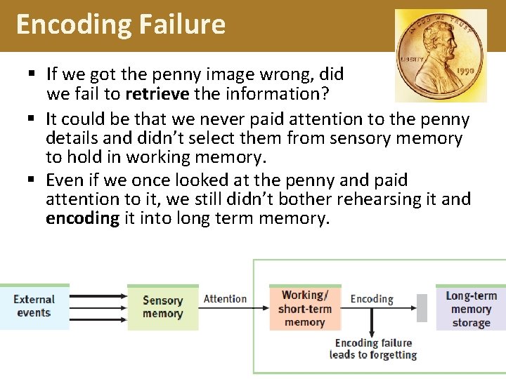 Encoding Failure § If we got the penny image wrong, did we fail to