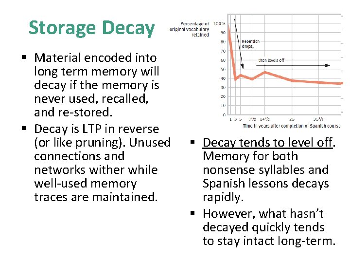 Storage Decay § Material encoded into long term memory will decay if the memory