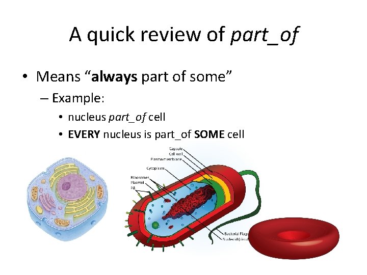 A quick review of part_of • Means “always part of some” – Example: • A quick review of part_of • Means “always part of some” – Example: •
