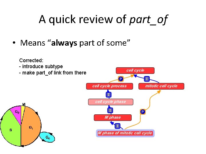 A quick review of part_of • Means “always part of some” Corrected: - introduce A quick review of part_of • Means “always part of some” Corrected: - introduce