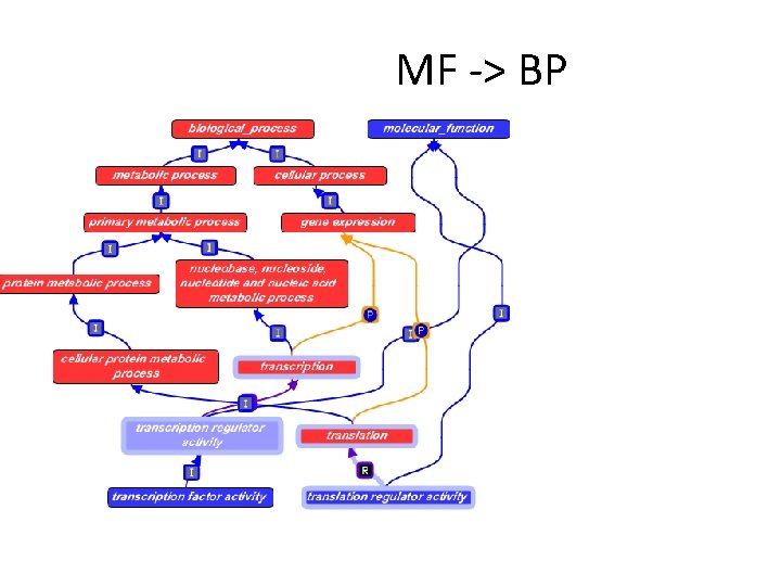 MF -> BP MF -> BP