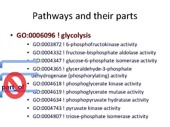 Pathways and their parts • GO: 0006096 ! glycolysis • • • part_of • Pathways and their parts • GO: 0006096 ! glycolysis • • • part_of •