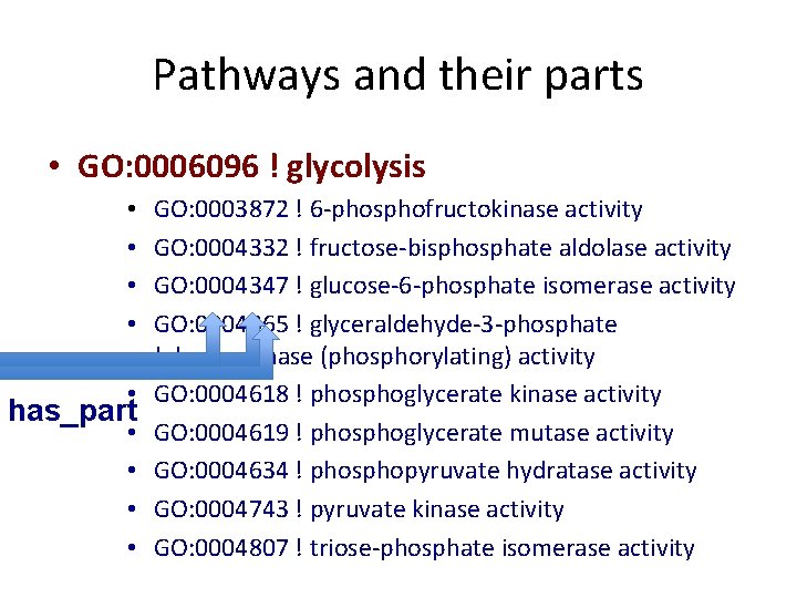 Pathways and their parts • GO: 0006096 ! glycolysis • • • has_part • Pathways and their parts • GO: 0006096 ! glycolysis • • • has_part •