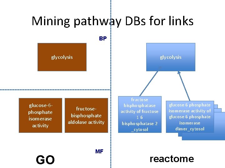 Mining pathway DBs for links BP glycolysis glucose-6 phosphate isomerase activity GO glycolysis fructosebisphosphate Mining pathway DBs for links BP glycolysis glucose-6 phosphate isomerase activity GO glycolysis fructosebisphosphate