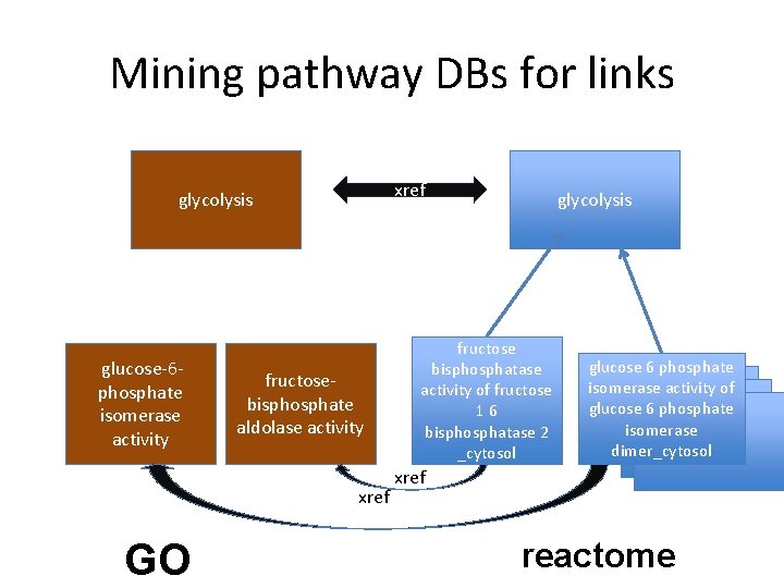 Mining pathway DBs for links xref glycolysis glucose-6 phosphate isomerase activity fructosebisphosphate aldolase activity Mining pathway DBs for links xref glycolysis glucose-6 phosphate isomerase activity fructosebisphosphate aldolase activity
