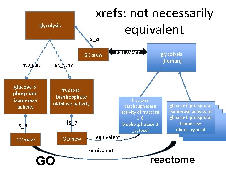 xrefs: not necessarily equivalent glycolysis is_a GO: new has_part? glucose-6 phosphate isomerase activity equivalent xrefs: not necessarily equivalent glycolysis is_a GO: new has_part? glucose-6 phosphate isomerase activity equivalent