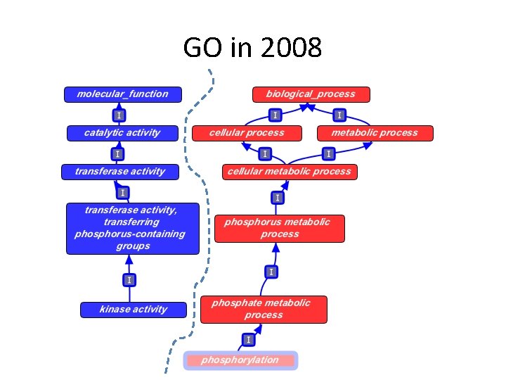 GO in 2008 GO in 2008