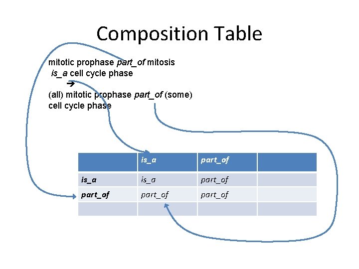 Composition Table mitotic prophase part_of mitosis is_a cell cycle phase (all) mitotic prophase part_of Composition Table mitotic prophase part_of mitosis is_a cell cycle phase (all) mitotic prophase part_of