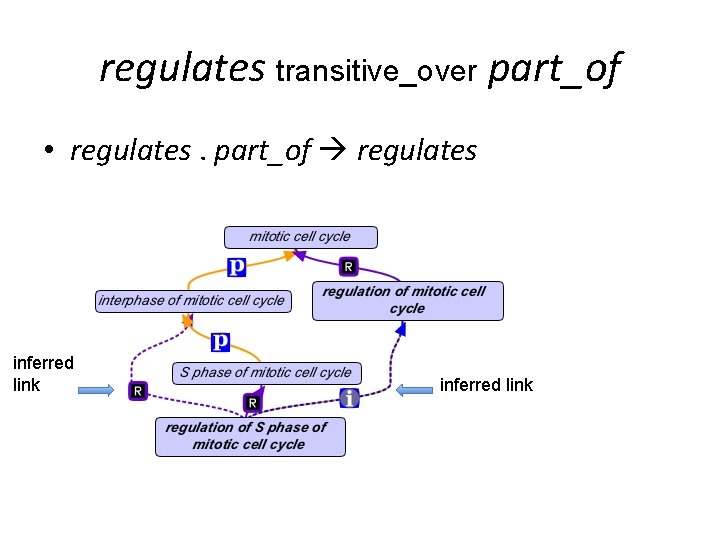 regulates transitive_over part_of • regulates. part_of regulates inferred link regulates transitive_over part_of • regulates. part_of regulates inferred link