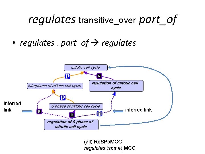 regulates transitive_over part_of • regulates. part_of regulates inferred link (all) Ro. SPo. MCC regulates regulates transitive_over part_of • regulates. part_of regulates inferred link (all) Ro. SPo. MCC regulates