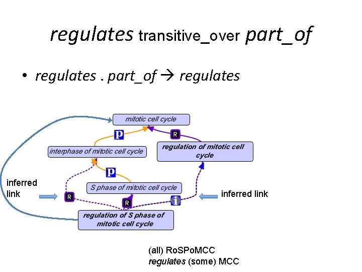 regulates transitive_over part_of • regulates. part_of regulates inferred link (all) Ro. SPo. MCC regulates regulates transitive_over part_of • regulates. part_of regulates inferred link (all) Ro. SPo. MCC regulates