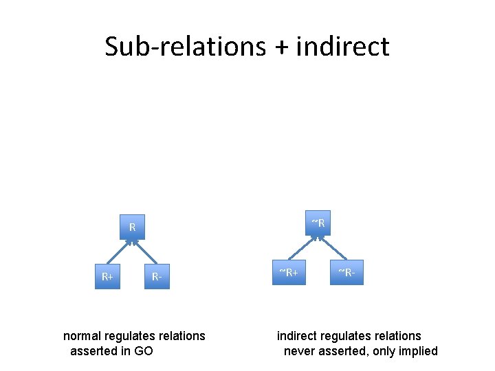 Sub-relations + indirect ~R R R+ R- normal regulates relations asserted in GO ~R+ Sub-relations + indirect ~R R R+ R- normal regulates relations asserted in GO ~R+