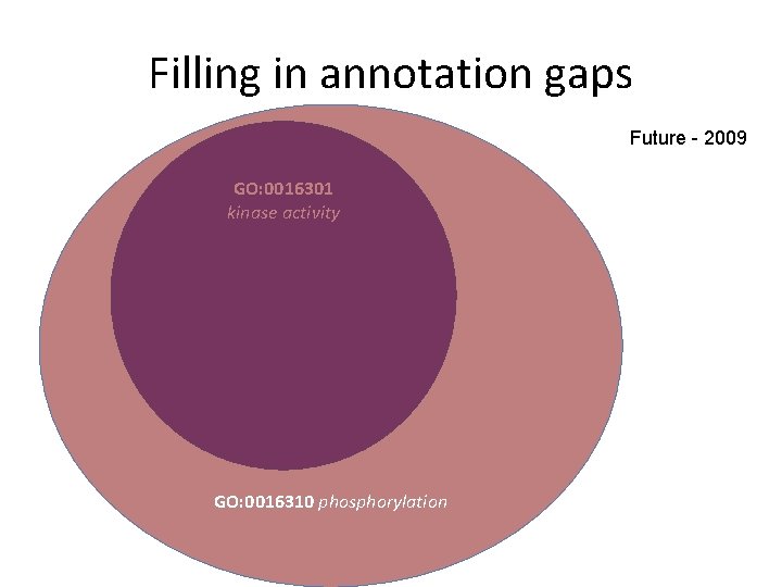 Filling in annotation gaps Future - 2009 GO: 0016301 kinase activity GO: 0016310 phosphorylation Filling in annotation gaps Future - 2009 GO: 0016301 kinase activity GO: 0016310 phosphorylation
