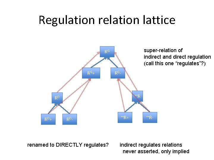 Regulation relation lattice super-relation of indirect and direct regulation (call this one “regulates”? ) Regulation relation lattice super-relation of indirect and direct regulation (call this one “regulates”? )
