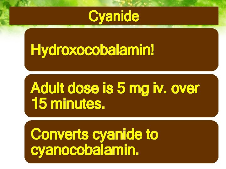 Cyanide Hydroxocobalamin! Adult dose is 5 mg iv. over 15 minutes. Converts cyanide to