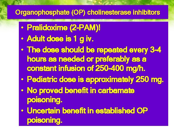 Organophosphate (OP) cholinesterase inhibitors • • • Pralidoxime (2 -PAM)! Adult dose is 1