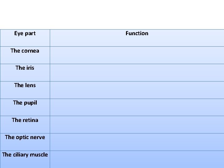 Eye part The cornea The iris The lens The pupil The retina The optic