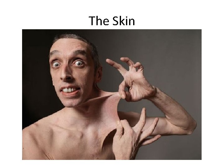 The Skin 