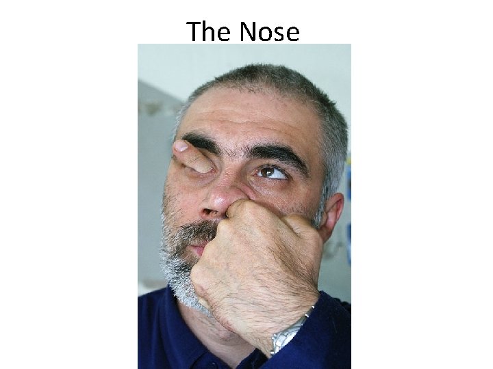 The Nose 