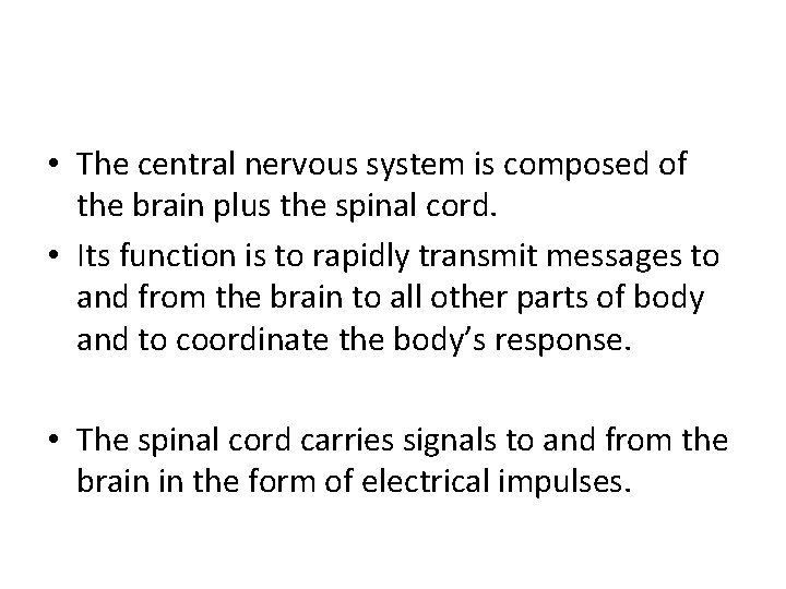  • The central nervous system is composed of the brain plus the spinal