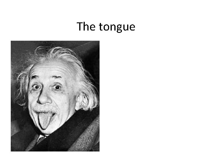 The tongue 