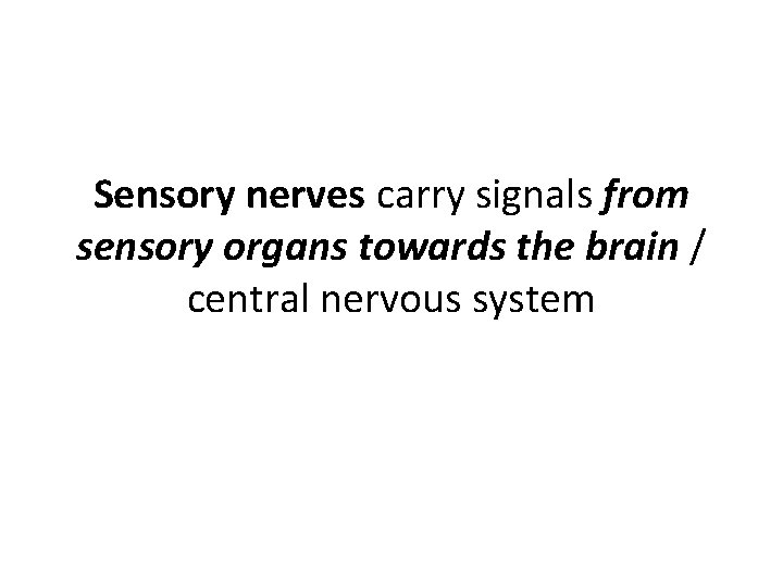 Sensory nerves carry signals from sensory organs towards the brain / central nervous system