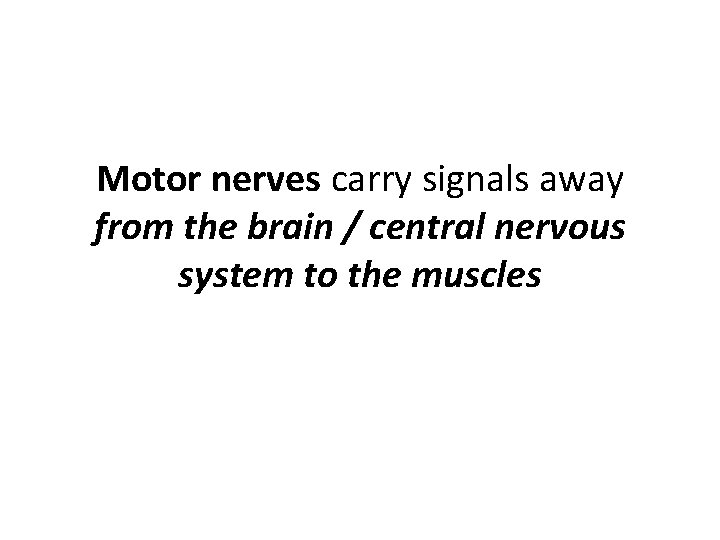 Motor nerves carry signals away from the brain / central nervous system to the