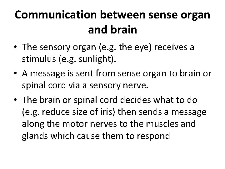 Communication between sense organ and brain • The sensory organ (e. g. the eye)