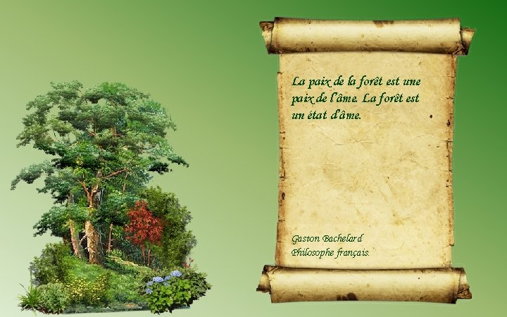 La paix de la forêt est une paix de l’âme. La forêt est un