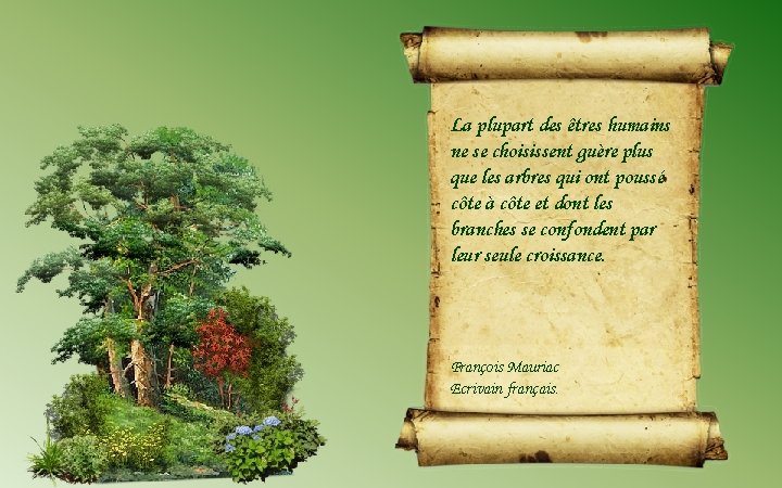 La plupart des êtres humains ne se choisissent guère plus que les arbres qui