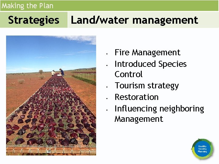 Making the Plan Strategies Land/water management • • • Fire Management Introduced Species Control