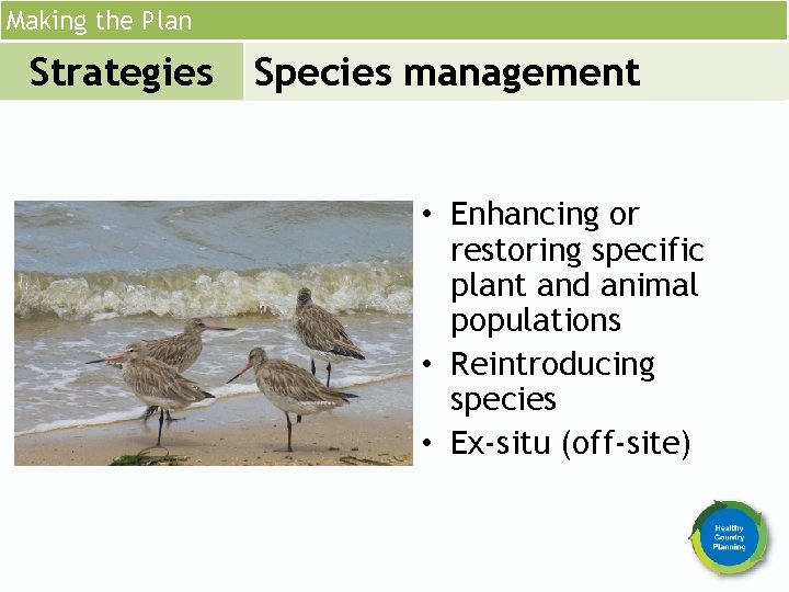 Making the Plan Strategies Species management • Enhancing or restoring specific plant and animal