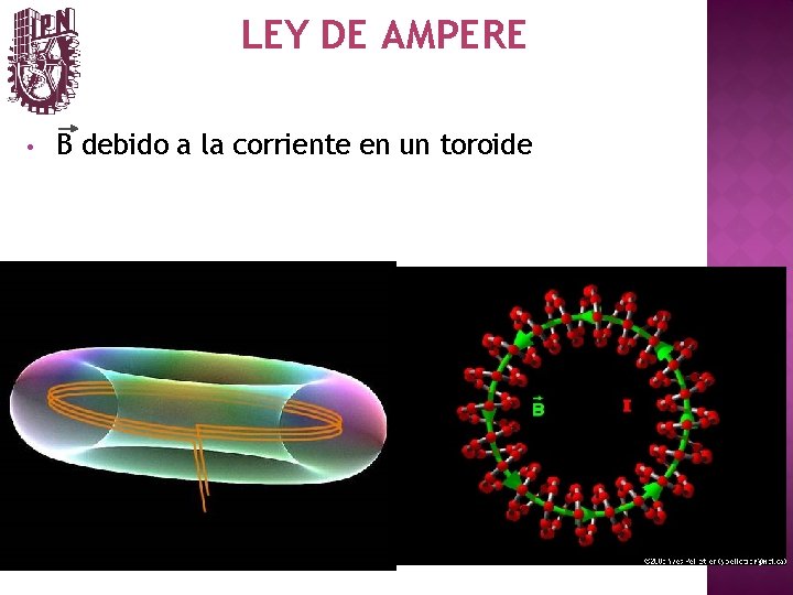 LEY DE AMPERE • B debido a la corriente en un toroide 
