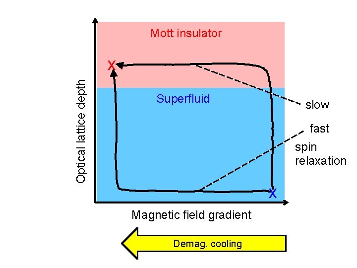 Mott insulator Optical lattice depth x Superfluid slow fast spin relaxation x Magnetic field