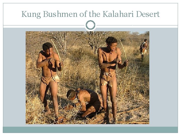 Kung Bushmen of the Kalahari Desert 