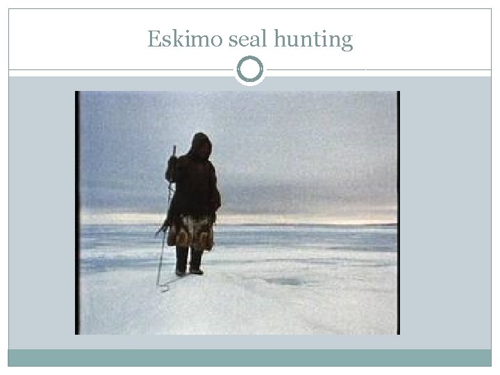 Eskimo seal hunting 