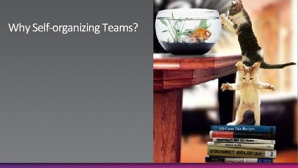 Why Self-organizing Teams? 