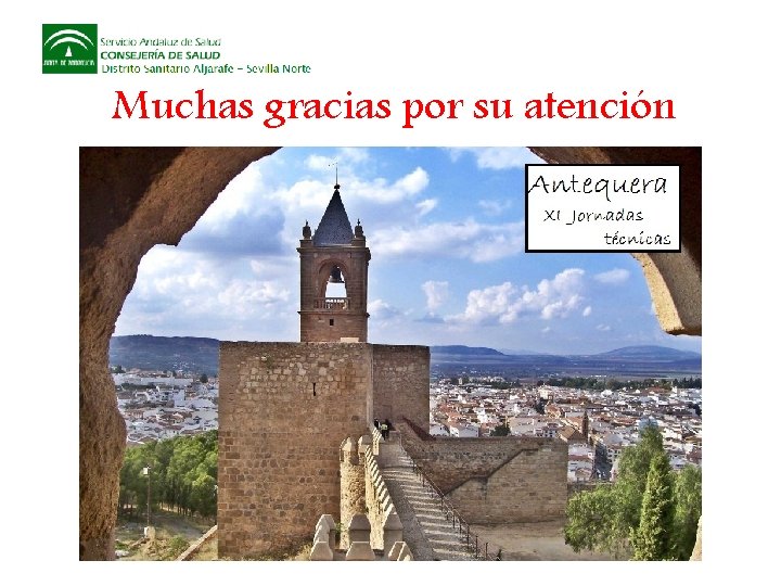 Muchas gracias por su atención 