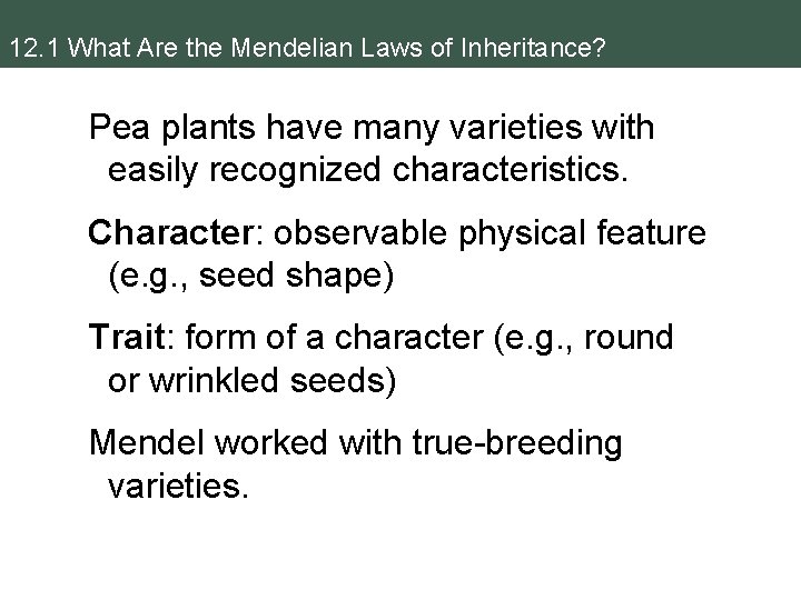 12. 1 What Are the Mendelian Laws of Inheritance? Pea plants have many varieties