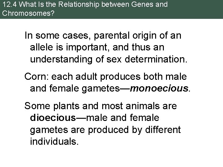 12. 4 What Is the Relationship between Genes and Chromosomes? In some cases, parental 12. 4 What Is the Relationship between Genes and Chromosomes? In some cases, parental