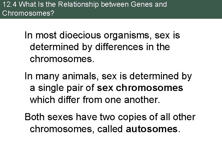 12. 4 What Is the Relationship between Genes and Chromosomes? In most dioecious organisms,