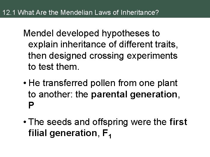 12. 1 What Are the Mendelian Laws of Inheritance? Mendel developed hypotheses to explain