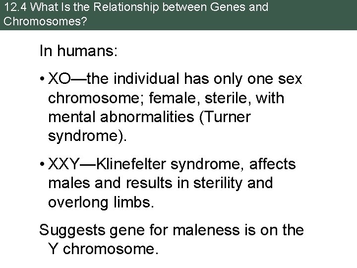 12. 4 What Is the Relationship between Genes and Chromosomes? In humans: • XO—the