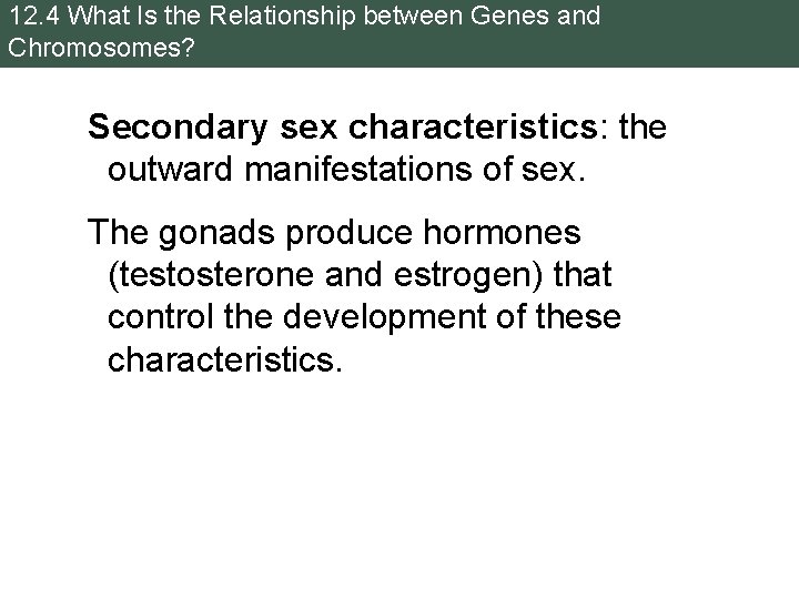 12. 4 What Is the Relationship between Genes and Chromosomes? Secondary sex characteristics: the 12. 4 What Is the Relationship between Genes and Chromosomes? Secondary sex characteristics: the