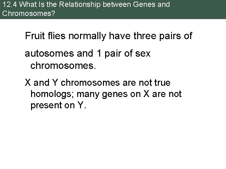 12. 4 What Is the Relationship between Genes and Chromosomes? Fruit flies normally have