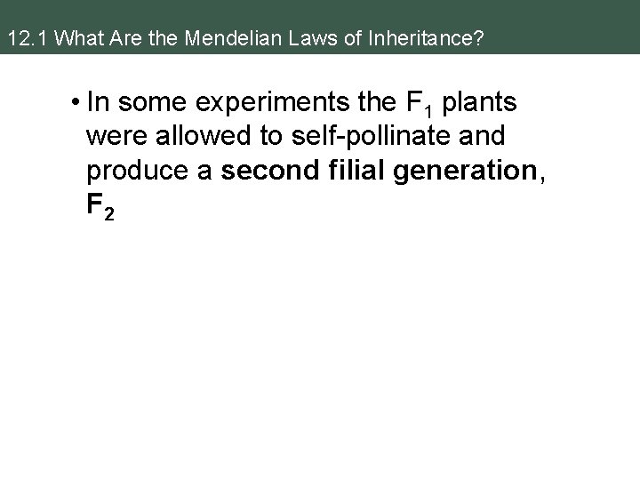 12. 1 What Are the Mendelian Laws of Inheritance? • In some experiments the