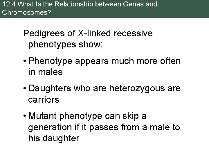 12. 4 What Is the Relationship between Genes and Chromosomes? Pedigrees of X-linked recessive